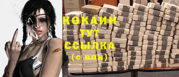 мяу мяу мука Гусь-Хрустальный