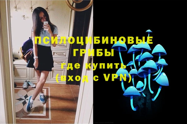 mdpv Гусиноозёрск