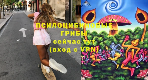 мяу мяу мука Гусь-Хрустальный