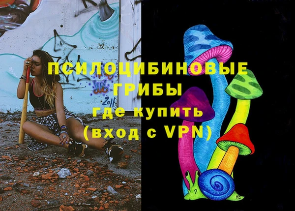 мяу мяу мука Гусь-Хрустальный