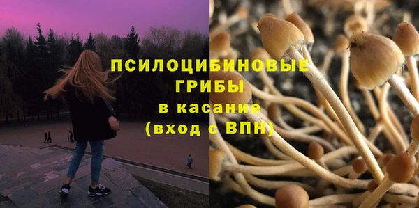 мяу мяу мука Гусь-Хрустальный
