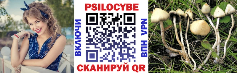 где можно купить   Краснотурьинск  Галлюциногенные грибы Cubensis 